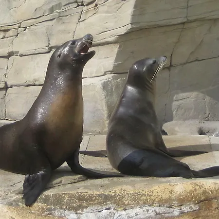 T3 En Vieille 2adult 2 Enfants Parking Gratuit - By La Source D'orfee *